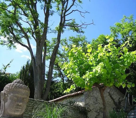 Alojamento de Acomodação e Pequeno-almoço Le Chai De Villiers (Vienne)